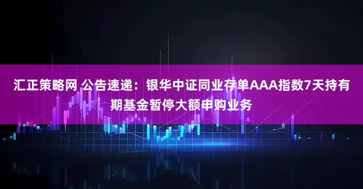 汇正策略网 公告速递：银华中证同业存单AAA指数7天持有期基金暂停大额申购业务