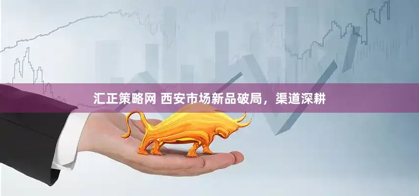 汇正策略网 西安市场新品破局，渠道深耕